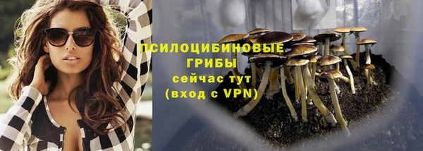 mdpv Осташков