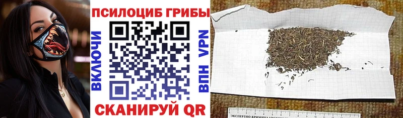 Псилоцибиновые грибы мухоморы  Сочи 