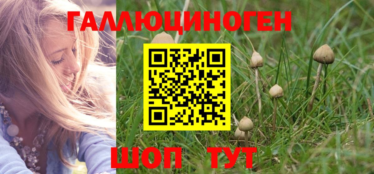 Сочи  Галлюциногенные грибы ЛСД  купить   Вход с VPN 